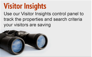 Visitor Insights